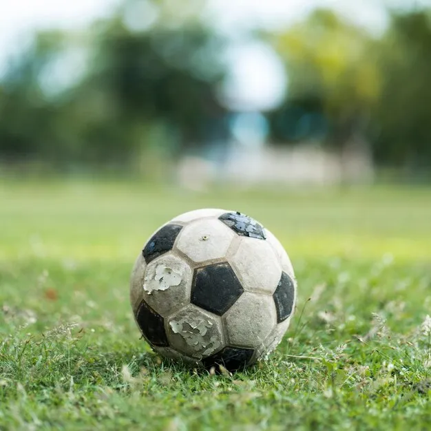 意见领袖运动推广