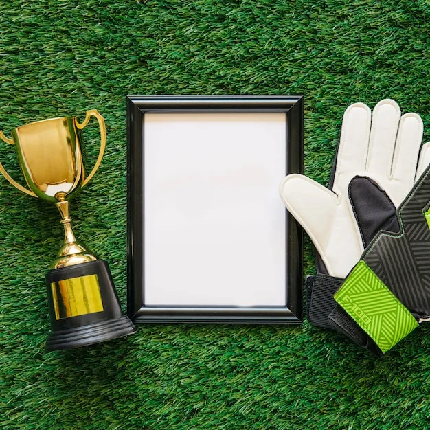 运动生活的高质量体验